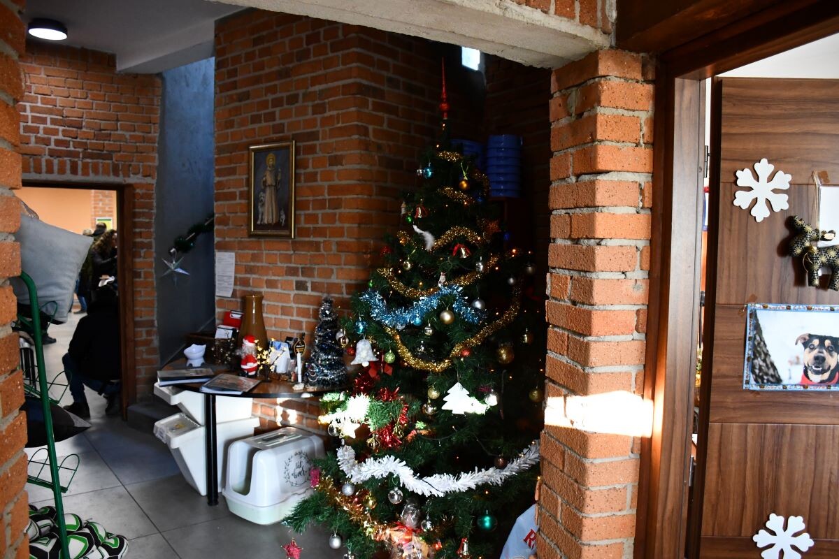 Przez cały weekend 21-22 grudnia w Schronisku dla Zwierząt TOZ "Fauna" organizowany jest kiermasz Świąteczny!