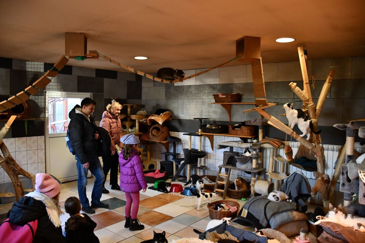 Przez cały weekend 21-22 grudnia w Schronisku dla Zwierząt TOZ "Fauna" organizowany jest kiermasz Świąteczny!