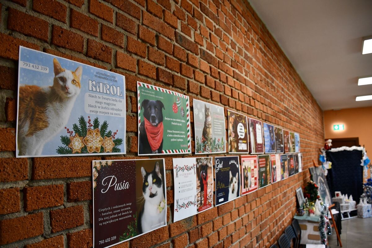 Przez cały weekend 21-22 grudnia w Schronisku dla Zwierząt TOZ "Fauna" organizowany jest kiermasz Świąteczny!