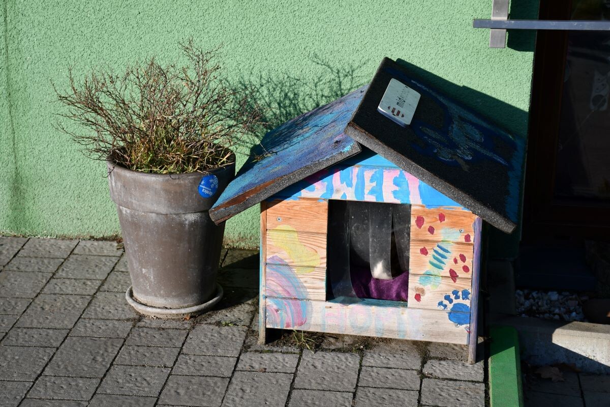 Przez cały weekend 21-22 grudnia w Schronisku dla Zwierząt TOZ "Fauna" organizowany jest kiermasz Świąteczny!