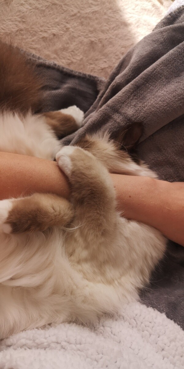 Aurora i ja
dzielnica: Bykowina 