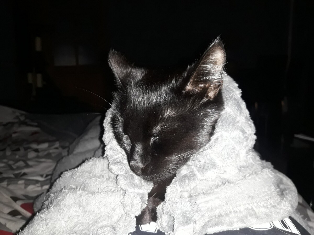 Zuzia :))))
dzielnica: Bykowina