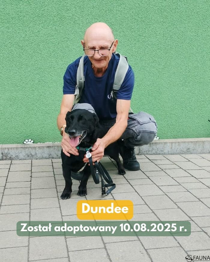 Adopcje w TOZ Fauna – sprawdź, które zwierzaki pojechały do nowych domów!/fot. TOZ Fauna