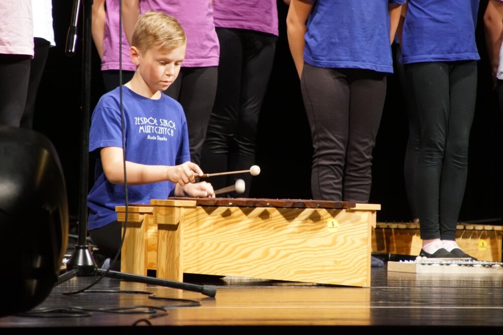 Rudzka szkoła muzyczna zakończyła właśnie kolejny rok szkolny! Na scenie Miejskiego Centrum Kultury im. H. Bisty swoje talenty muzyczne i wokalne zaprezentowali młodzi rudzianie, czyli uczniowie Zespołu Szkół Mzycznych I i II Stopnia w Rudzie Śląskiej.