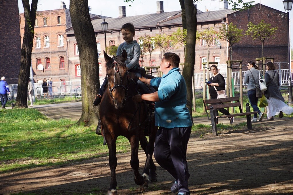 Koncert w Parku Kozioła.