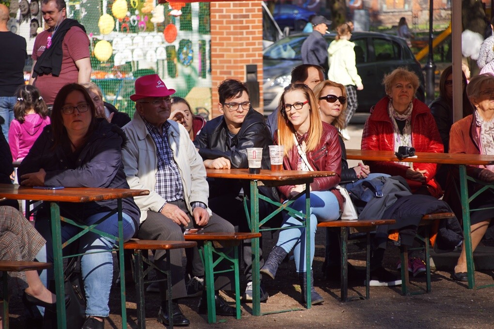 Koncert w Parku Kozioła.