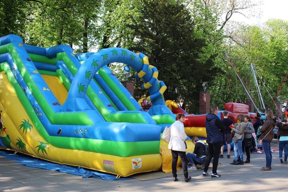 Koncert w Parku Kozioła.