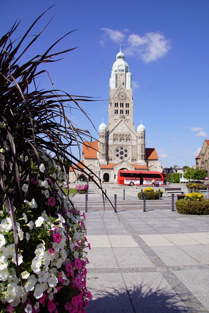 Marek Wesoły poinformował o zebraniu na listach wyborczych prawie 5 tys. podpisów.