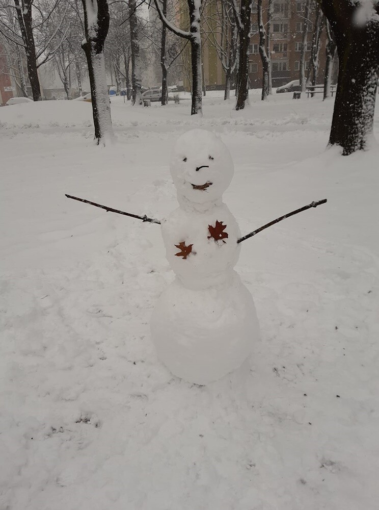 Śnieg zadomowił się u nas chyba na dobre. Skoro jest śnieg, muszą być też bałwanki!