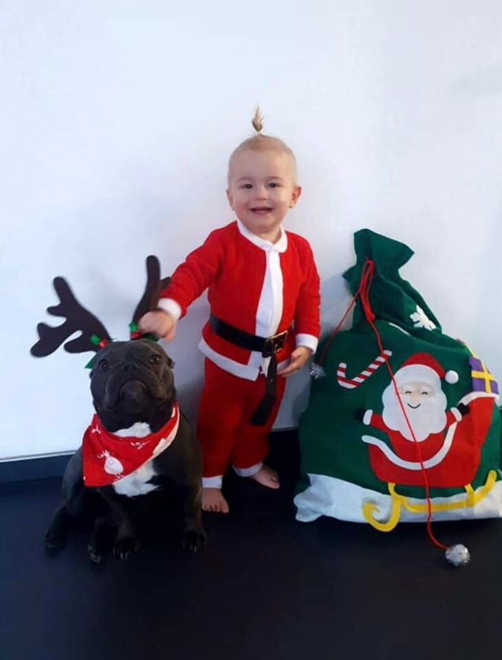 Konkurs Mikołajkowy/ / fot. Czytelnicy