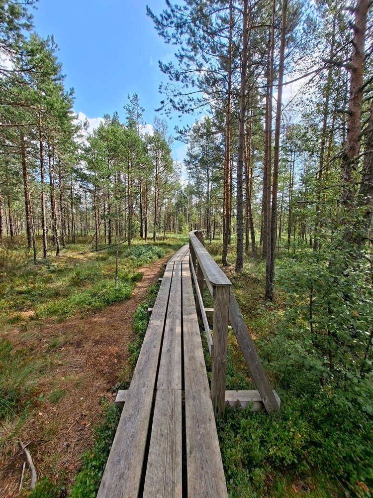 Konkurs wakacyjny / fot. Czytelnicy