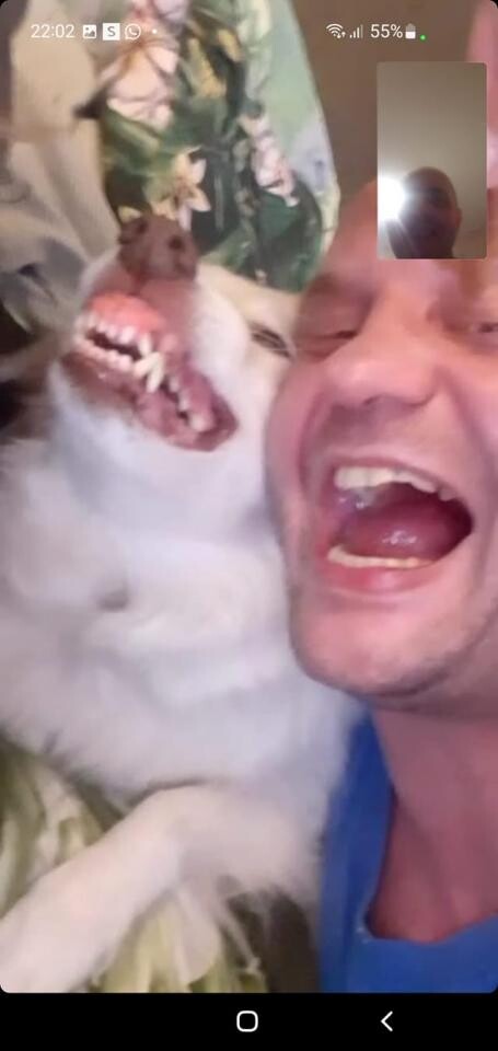 W tym roku, z okazji Święta Zakochanych, stworzyliśmy wielką galerię zdjęć Czytelników, którzy chcieli pochwalić się tym, że są razem. W galerii tej znalazły się zdjęcia par z Rudy Śląskiej i okolic. 