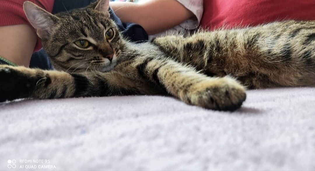 ŁaCia
dzielnica: Godula