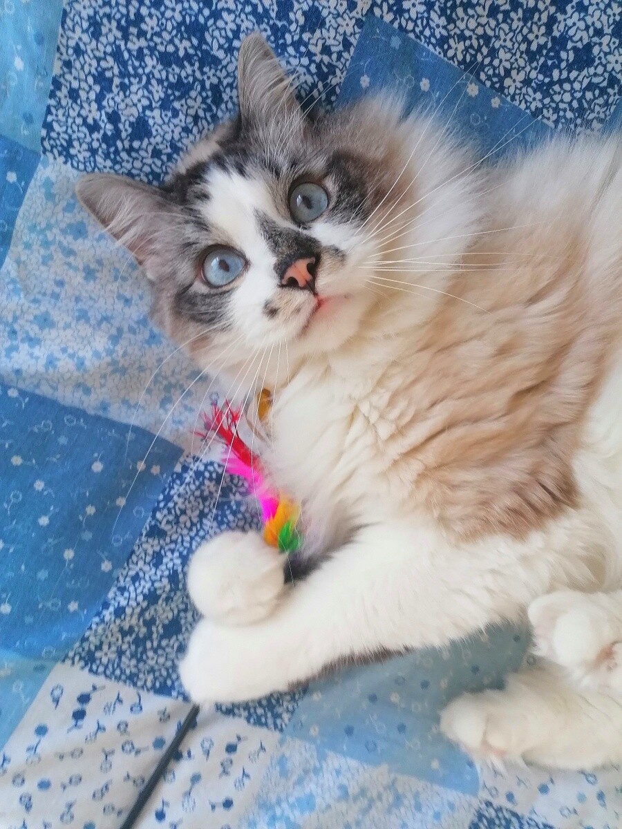 Sali podczas zabawy
dzielnica: Wirek