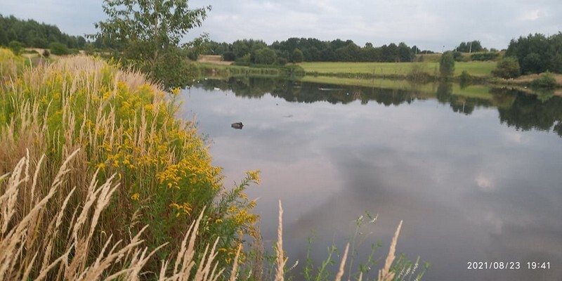 Ruda Śląska: W Kochłówce znowu pływa kontener na śmieci. Pod koniec lipca nieznany sprawca wrzucił do potoku pojemnik na śmieci. Wyłowili go społecznicy. Po miesiącu sprawa się powtórzyła i do potoku trafił kolejny pojemnik (fot. Łukasz Michalski).