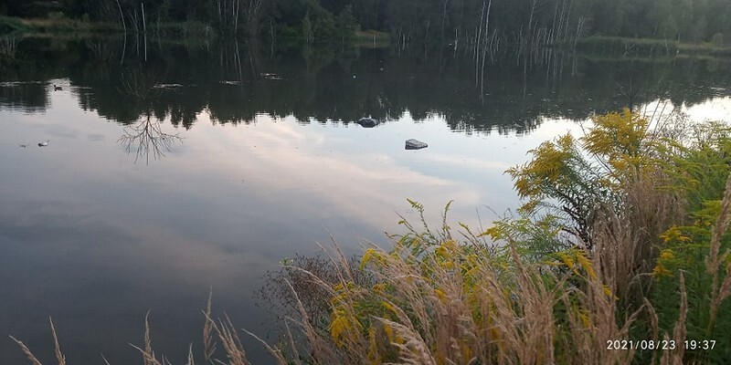Ruda Śląska: W Kochłówce znowu pływa kontener na śmieci. Pod koniec lipca nieznany sprawca wrzucił do potoku pojemnik na śmieci. Wyłowili go społecznicy. Po miesiącu sprawa się powtórzyła i do potoku trafił kolejny pojemnik (fot. Łukasz Michalski).