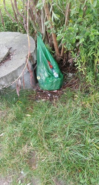 Ruda Śląska: W Kochłówce znowu pływa kontener na śmieci. Pod koniec lipca nieznany sprawca wrzucił do potoku pojemnik na śmieci. Wyłowili go społecznicy. Po miesiącu sprawa się powtórzyła i do potoku trafił kolejny pojemnik (fot. Łukasz Michalski).