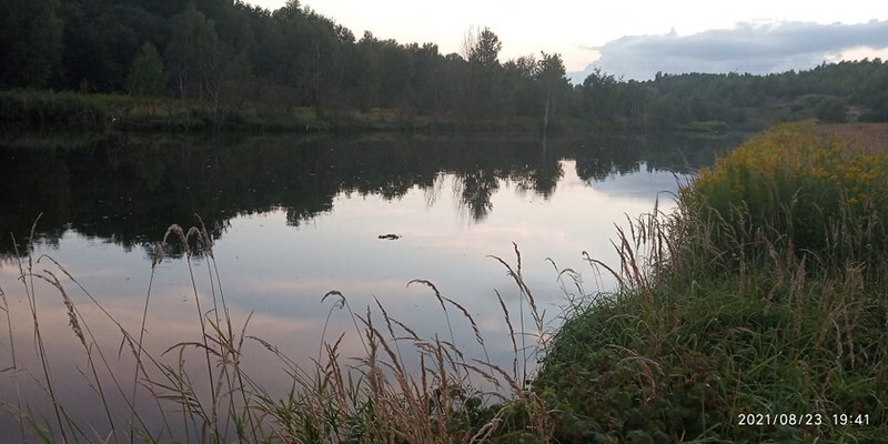 Ruda Śląska: W Kochłówce znowu pływa kontener na śmieci. Pod koniec lipca nieznany sprawca wrzucił do potoku pojemnik na śmieci. Wyłowili go społecznicy. Po miesiącu sprawa się powtórzyła i do potoku trafił kolejny pojemnik (fot. Łukasz Michalski).