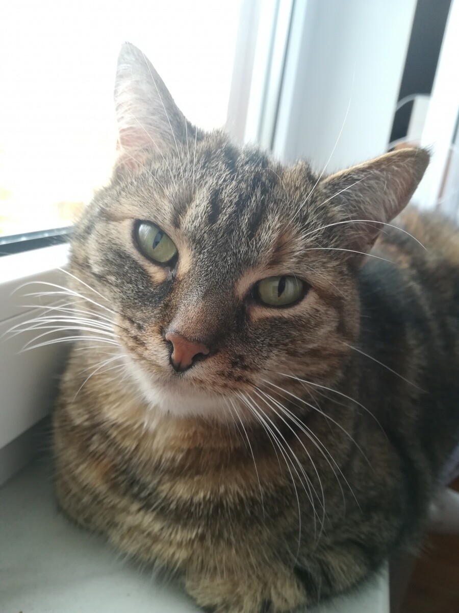 Na zdjęciu: Kira
dzielnica: 