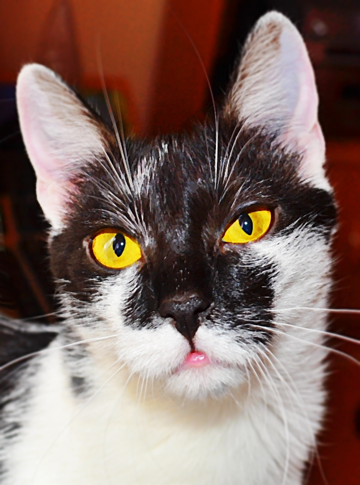 Pusia, lat 5
dzielnica: 