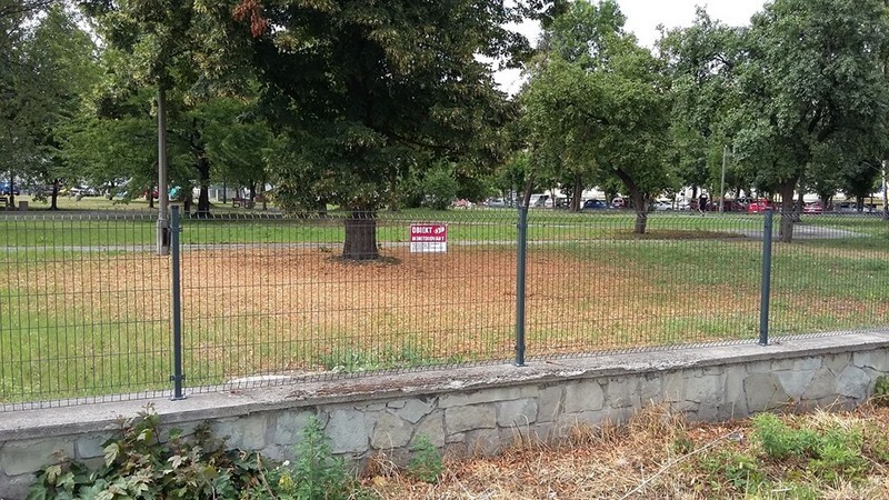 Zuchwała kradzież w Goduli: W nocy z wtorku na środę sprzed Szpitala Miejskiego w Rudzie Śląskiej zniknęło ogrodzenie przyszpitalnego ogrodu. Wandale ukradli 9 nowych przęseł. Sprawą zajmuje się policja, a szpital apeluje o pomoc w ujęciu złodziei.