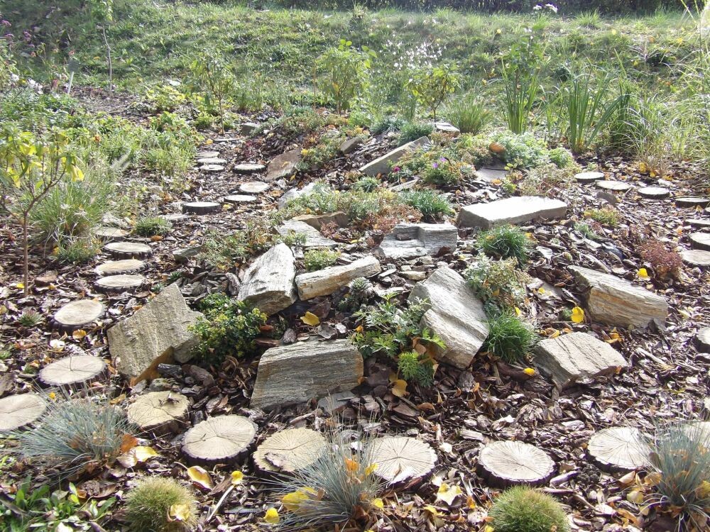 Zielona przestrzeń dla dzieci. Przy SP nr 35 powstała „Kwietna Wyspa”!/fot. UM Ruda Śląska