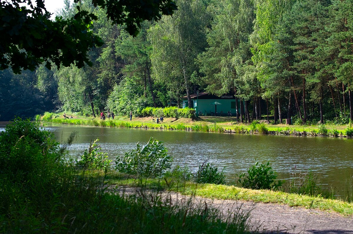Halemba, malownicza dzielnica Rudy Śląskiej, to idealne miejsce na letnie spacery po lesie. / fot. Marek Faber