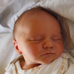 Laura Gałenżeska-Szwajca