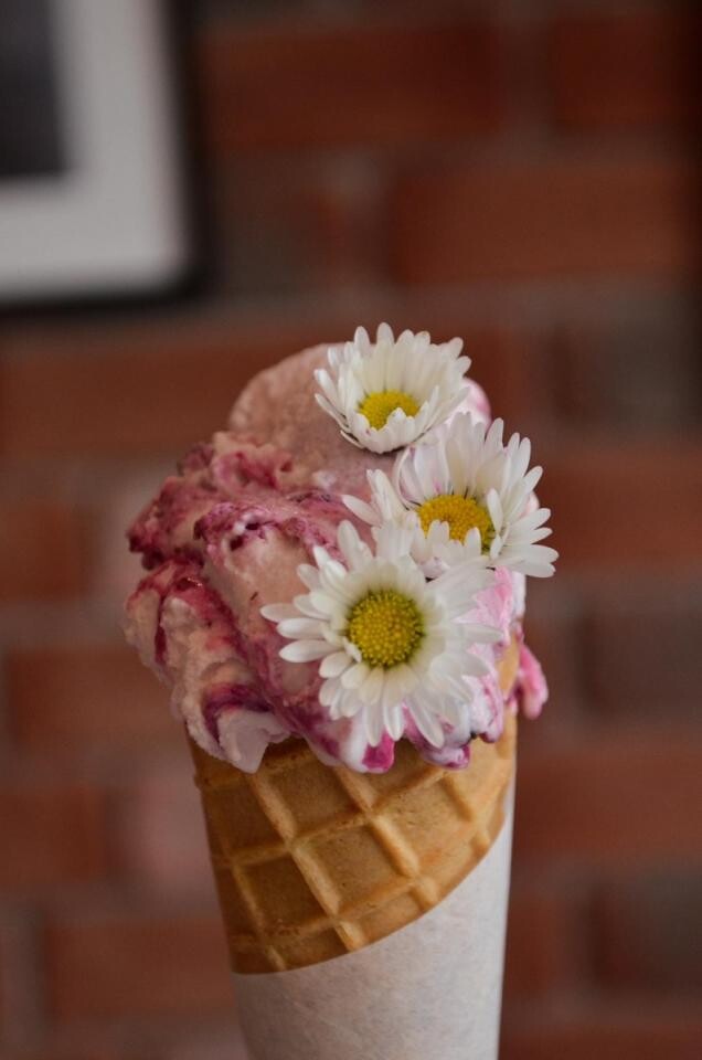 "To poproszę śmietankowe", czyli ulubione smaki nietypowych lodów wśród rudzian