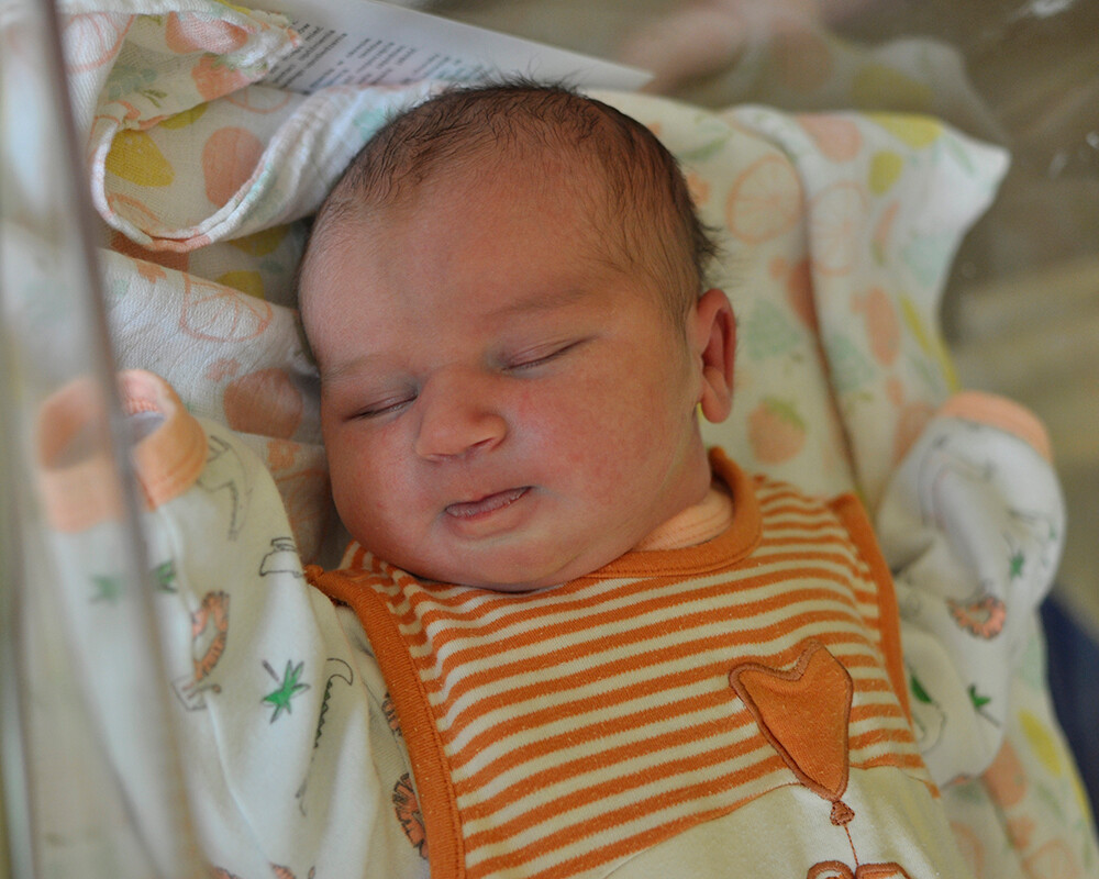 Łucja Teresa Pfajfer