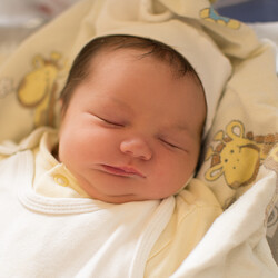 Małgorzata Pieczonka