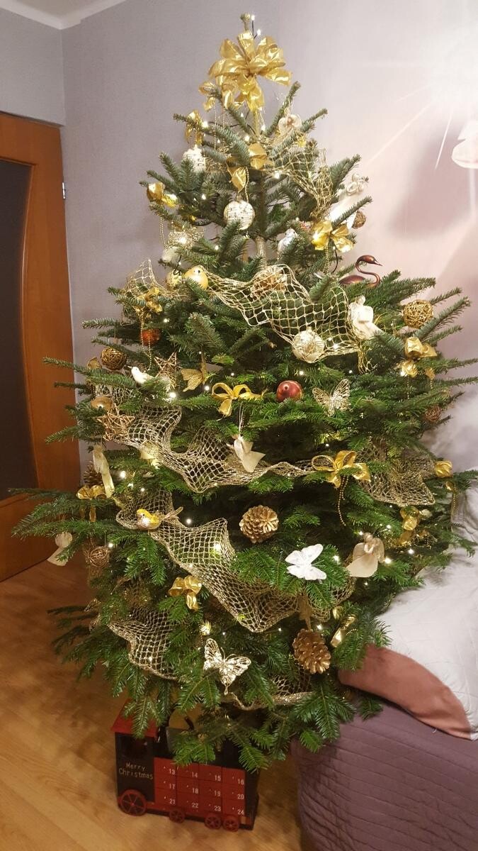 Świąteczna choinka
dzielnica: Nowy Bytom