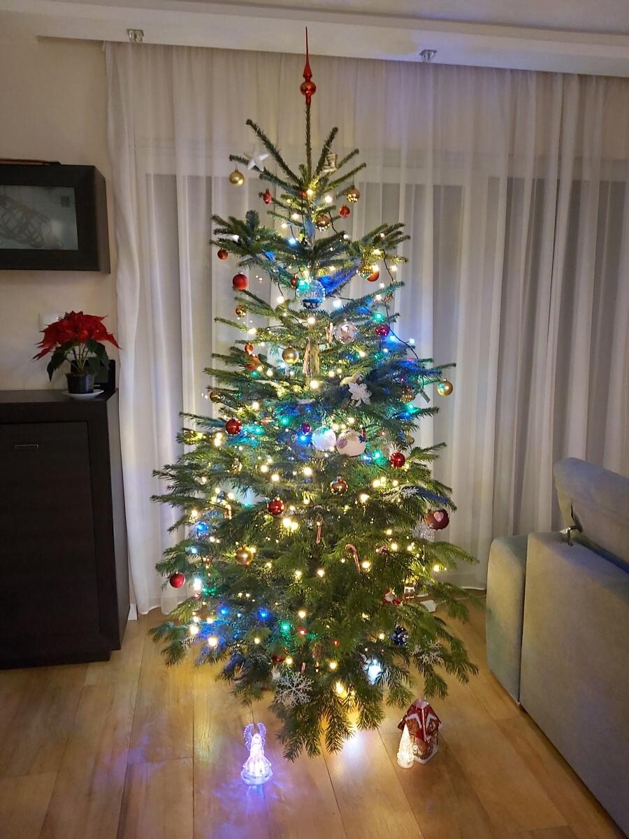 Nasza choinka ubierana przez 3-latka i 9-latkę.
dzielnica: Halemba