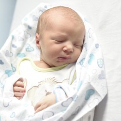 Maksymilan Michalski