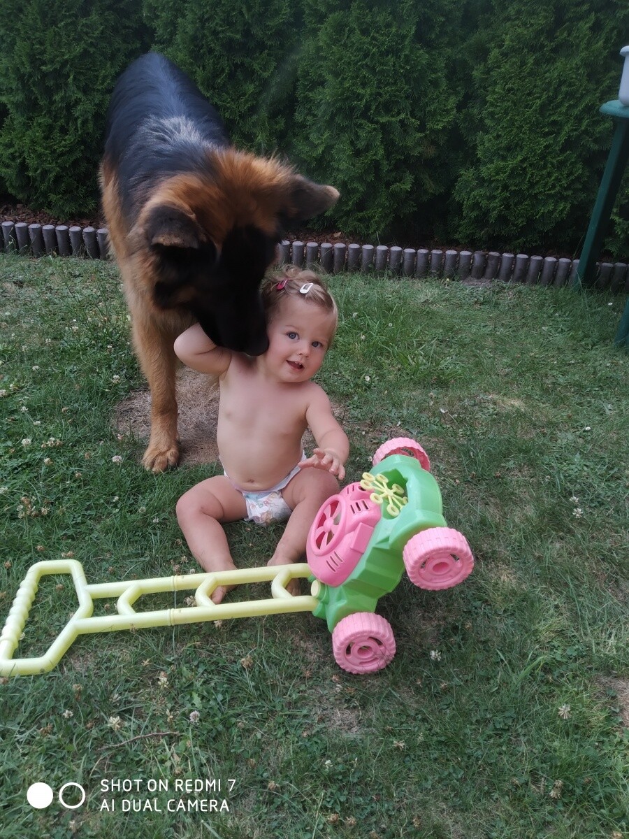 Witam jestem Pola,właśnie skaczylam roczek jestem z Nowego Bytomia:) Bardzo kocham zwierzęta  i mam nadzieję że ktoś odda głosik na mnie
dzielnica: Nowy Bytom