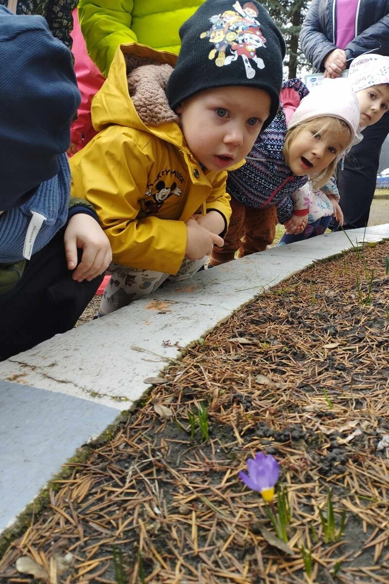 Marcowe i kwietniowe przygody w Miejskim Przedszkolu nr 32 w Rudzie Śląskiej /fot. MP nr 32