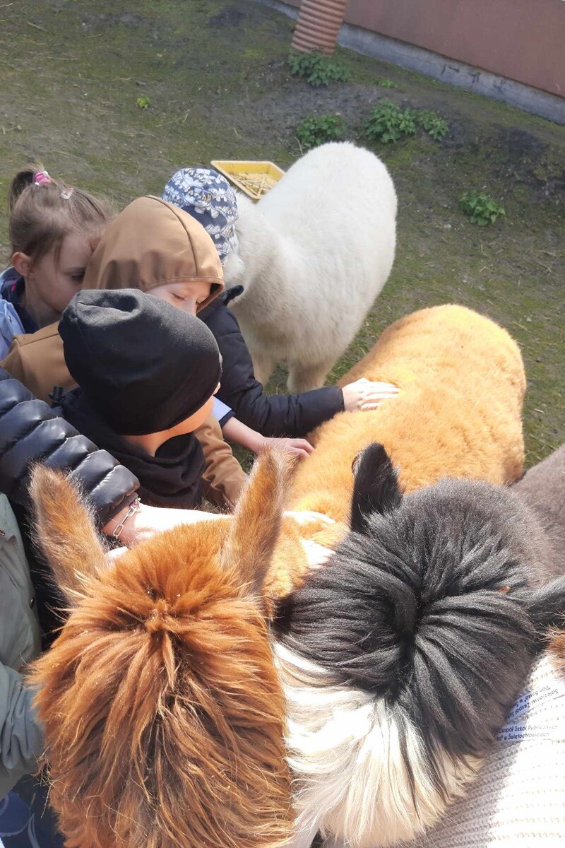 Marcowe i kwietniowe przygody w Miejskim Przedszkolu nr 32 w Rudzie Śląskiej /fot. MP nr 32