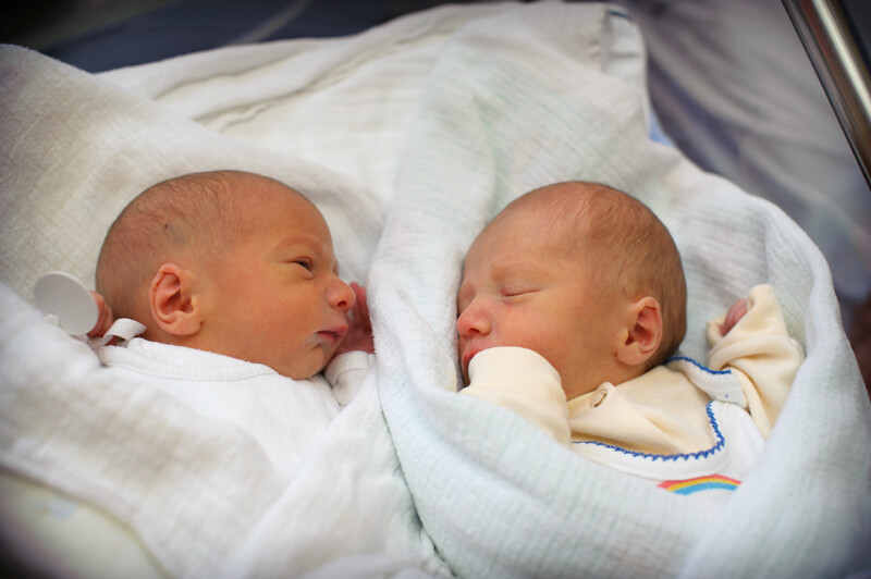 Mateusz i Maksymilian Bojarscy