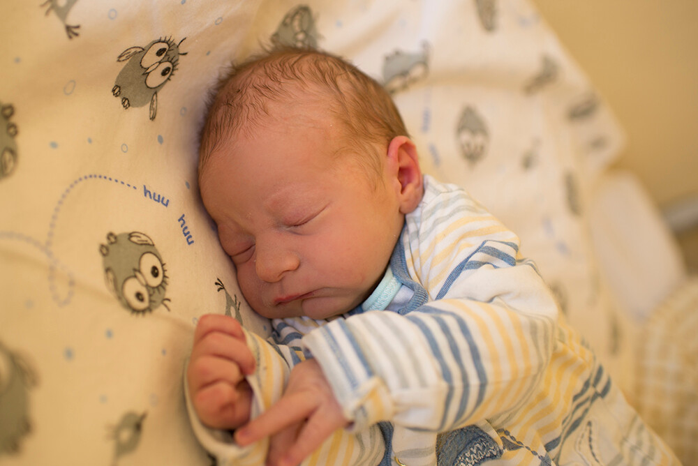 Mateusz Niedźwiedzki