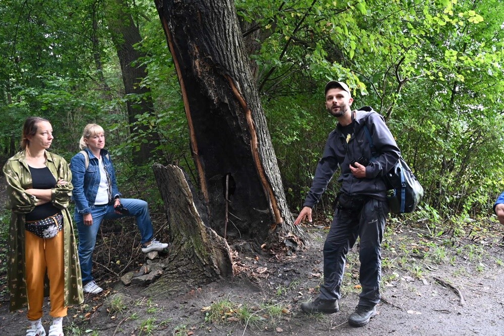 28 sierpnia odbyła się rudzka odsłona Festiwalu Miedzianka Po Drodze / fot. UM Ruda Śląska