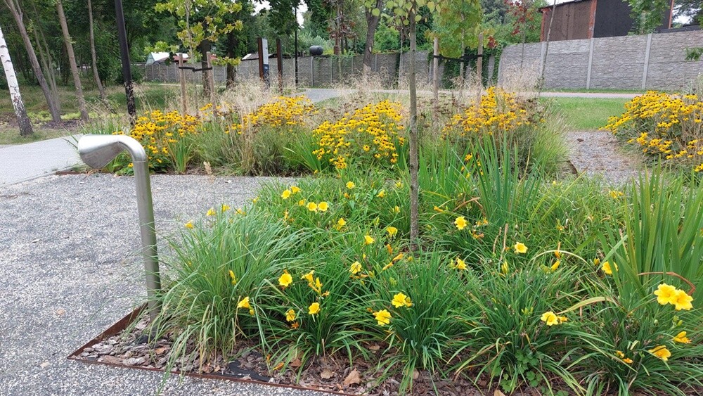 28 sierpnia odbyła się rudzka odsłona Festiwalu Miedzianka Po Drodze / fot. UM Ruda Śląska
