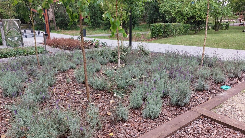 28 sierpnia odbyła się rudzka odsłona Festiwalu Miedzianka Po Drodze / fot. UM Ruda Śląska