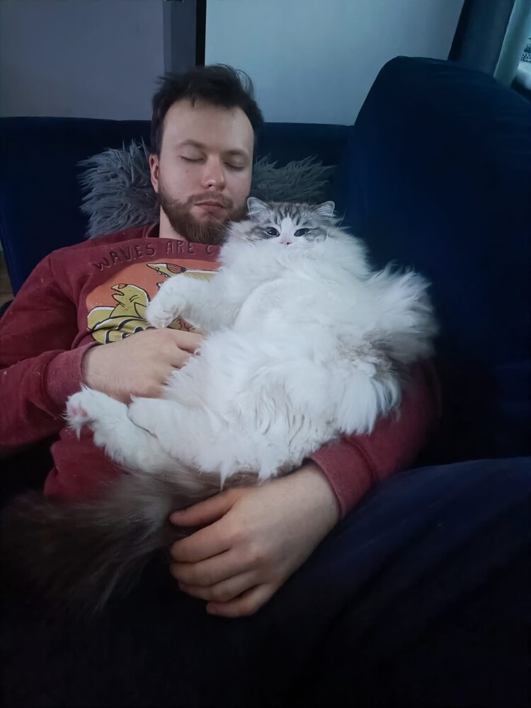 Międzynarodowy Dzień Kota. / fot. Czytelnicy