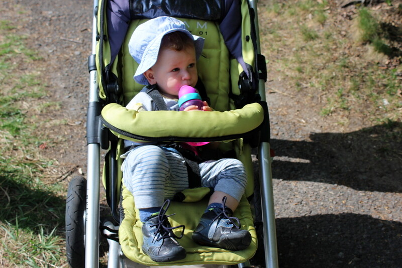 Mistrzostwa modeli Kochłowice