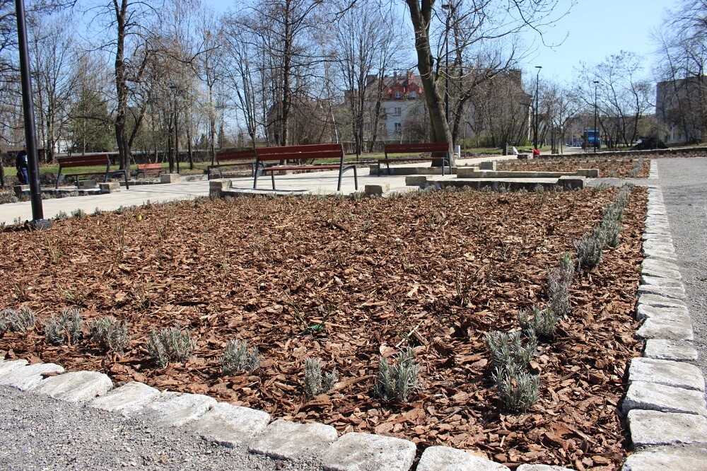 Miasto jest już na finiszu z pracami przy rewitalizacji Parku Dworskiego w Nowym Bytomiu. Gotowe są alejki, wykonano oświetlenie, postawiono ławki i kosze na śmieci. 

fot. UM Ruda Śląska
