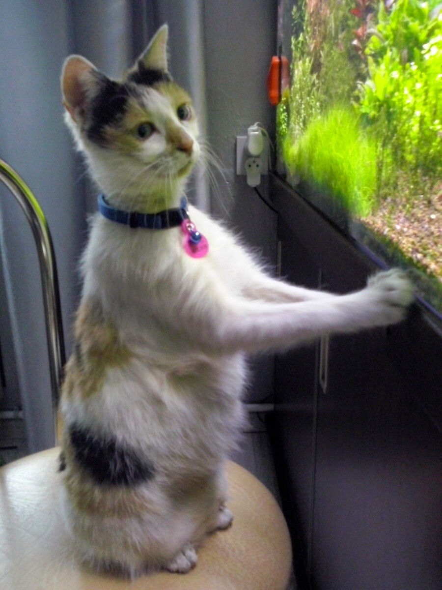 Nasza Łatka
dzielnica: Ruda Śląska 1