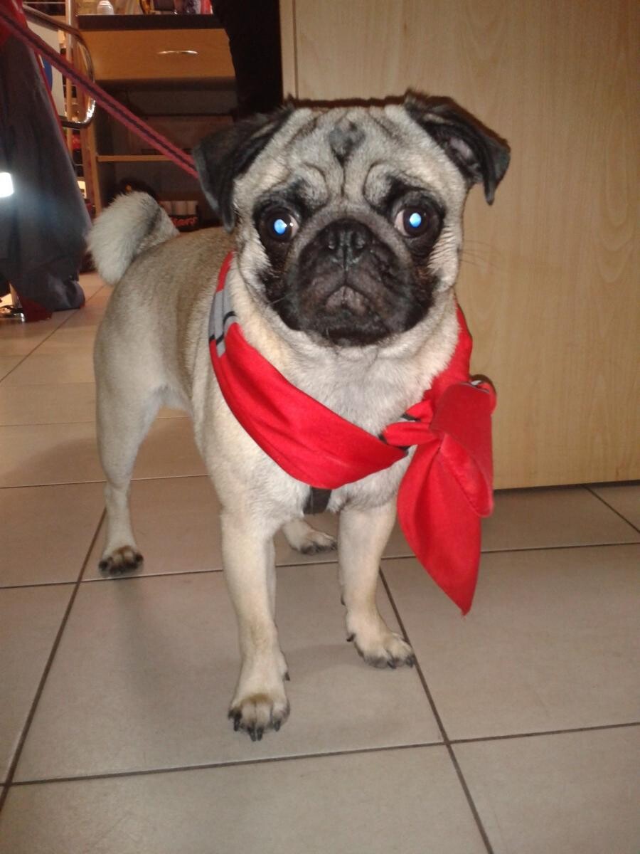 Spajk.Nowy Bytom.
dzielnica: Nowy Bytom