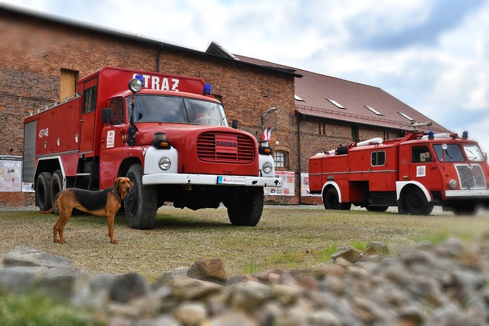 Od najbliższej soboty (30 kwietnia) można będzie ponownie zwiedzać Muzeum PRL-u w Rudzie Śląskiej. Dwunasty sezon działalności placówka rozpocznie o godz. 10.00. 

fot. Jacek Knapik