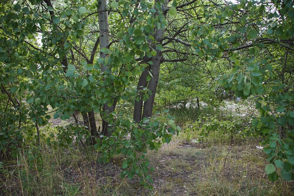 Rusza rozbudowa trasy N-S dalej w kierunku północnym.