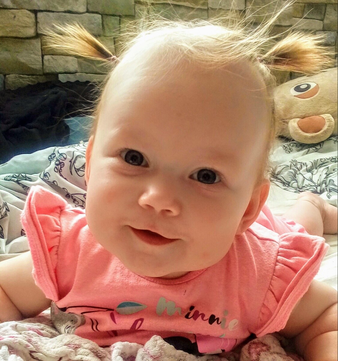 Milenka 31.01.2019
dzielnica: Ruda Śląska